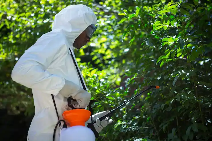 مكافحة حشرات بدون رائحة بالرياض للمنازل